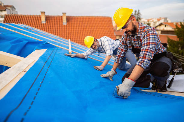 Best Roof Maintenance Services  in Bangor, WI