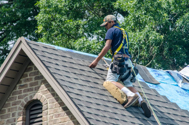 Best Emergency Roof Repair  in Bangor, WI